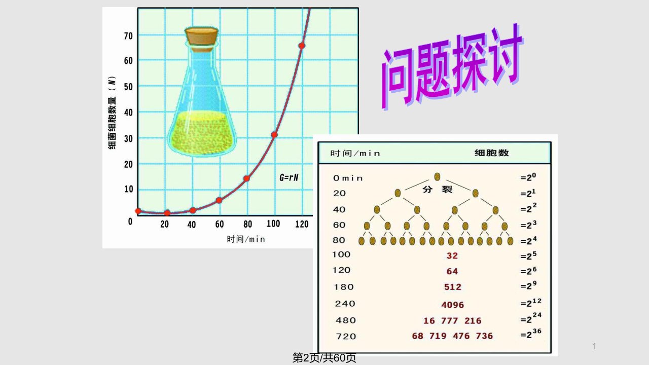 种群数量变化很实用分析