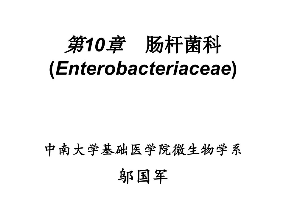 10肠杆菌科