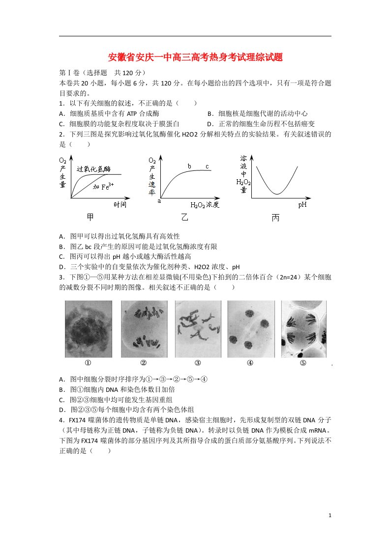 安徽省安庆一中高考理综热身考试试题