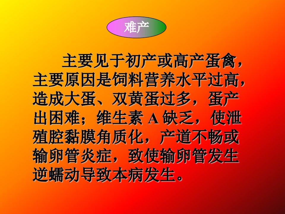 禽病学禽病临床诊断彩色图谱82难产