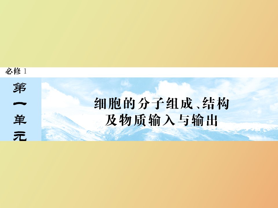 走近细胞蛋白质、核酸的结构和功能