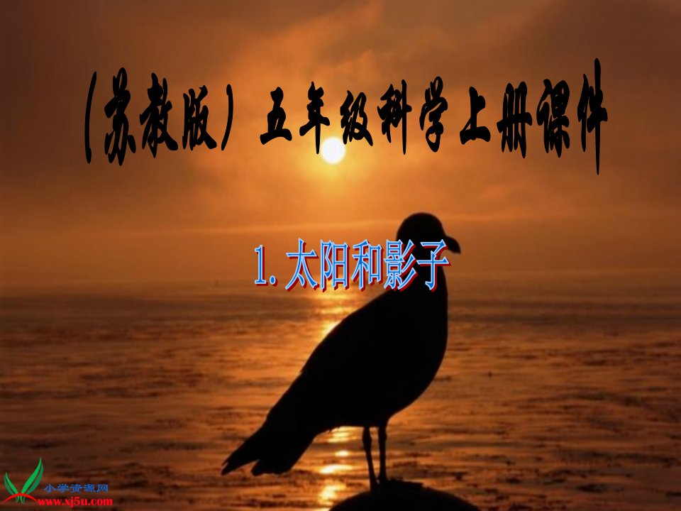 《太阳和影子》PPT