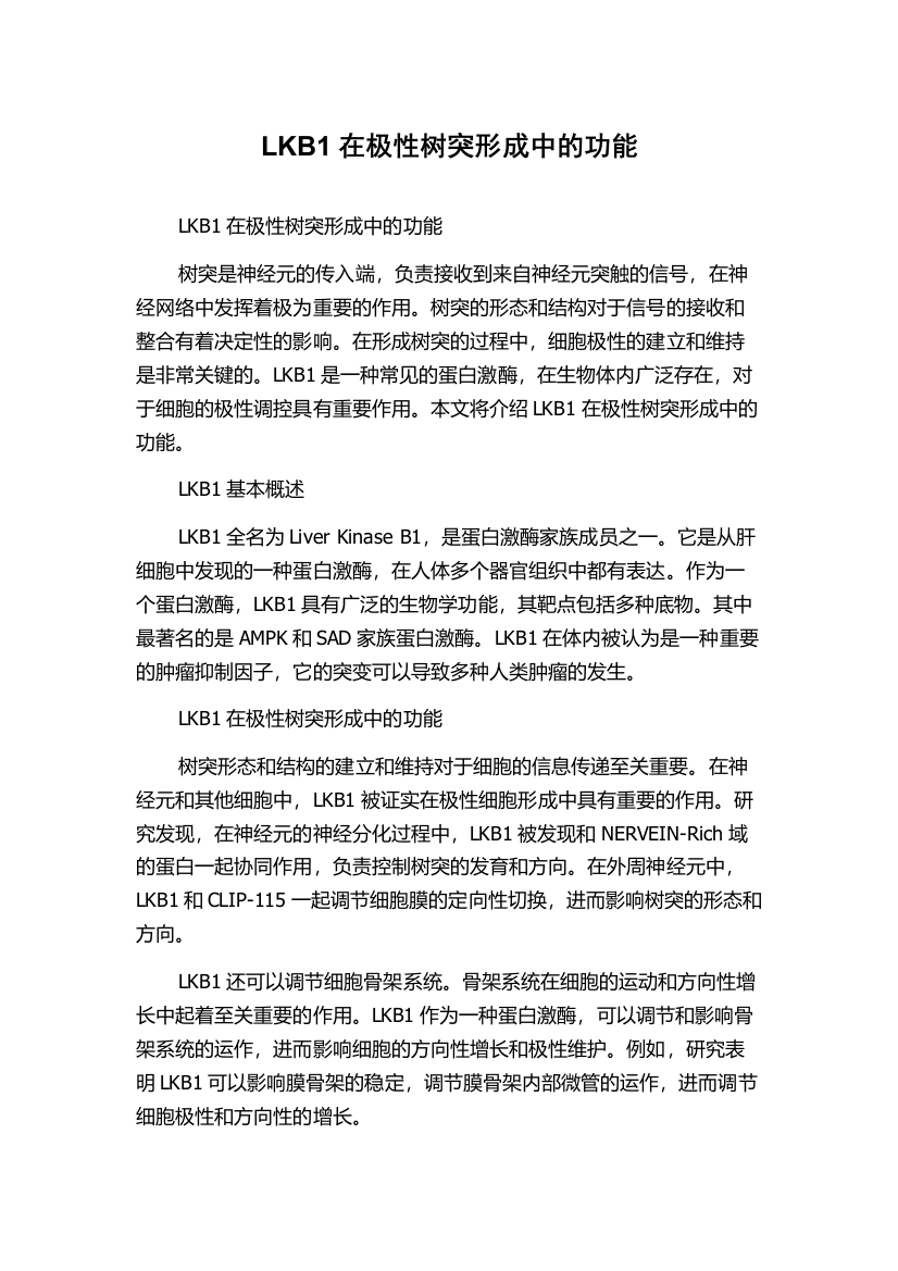 LKB1在极性树突形成中的功能