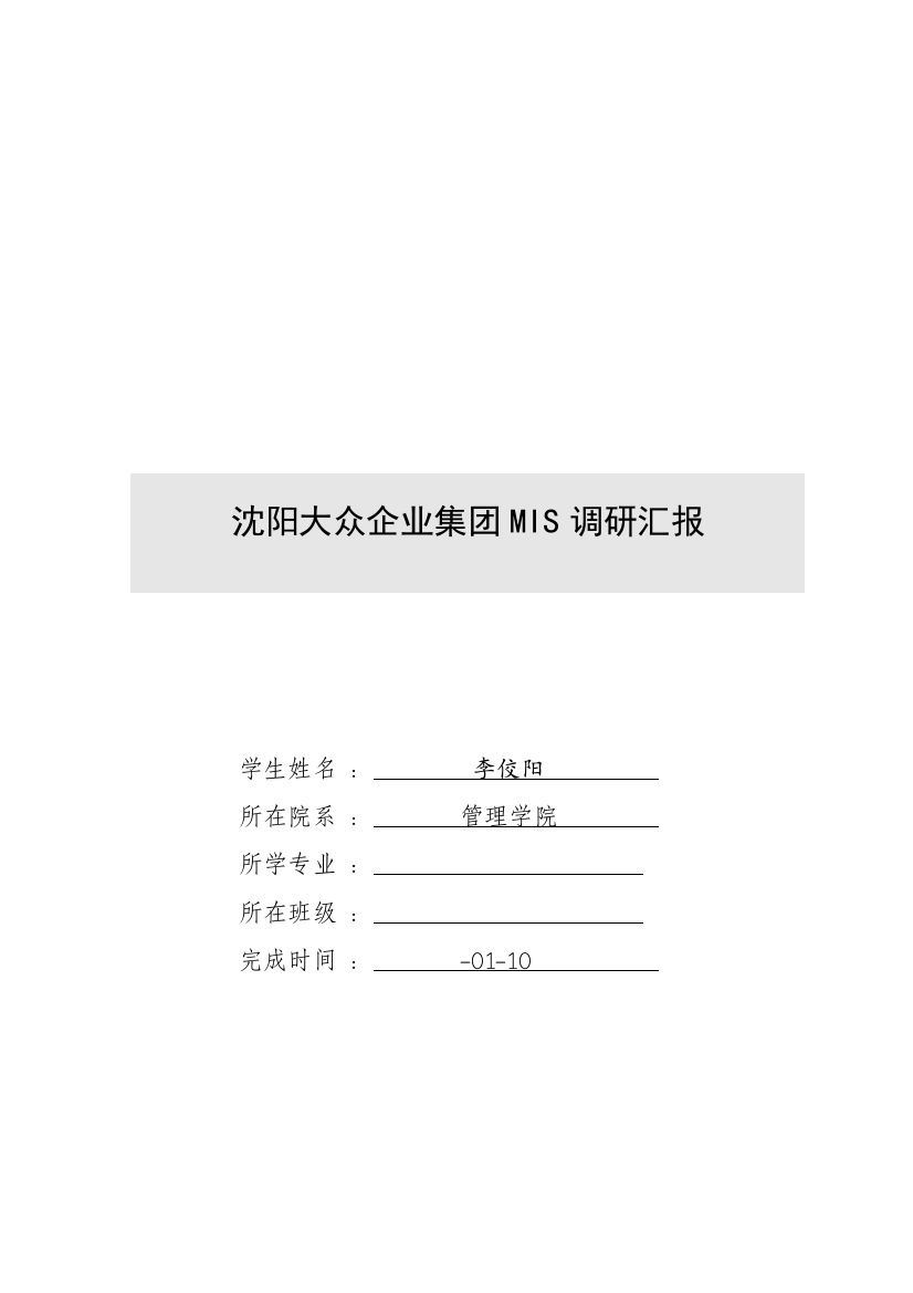 沈阳集团MIS调研报告样本