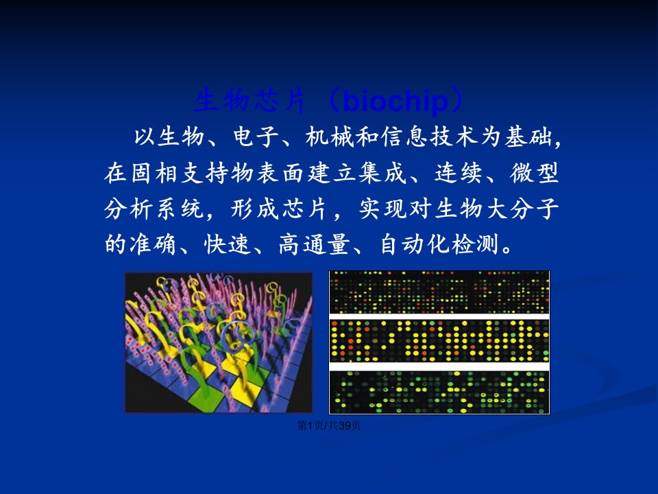 常用分子生物学技术RNA干扰技术