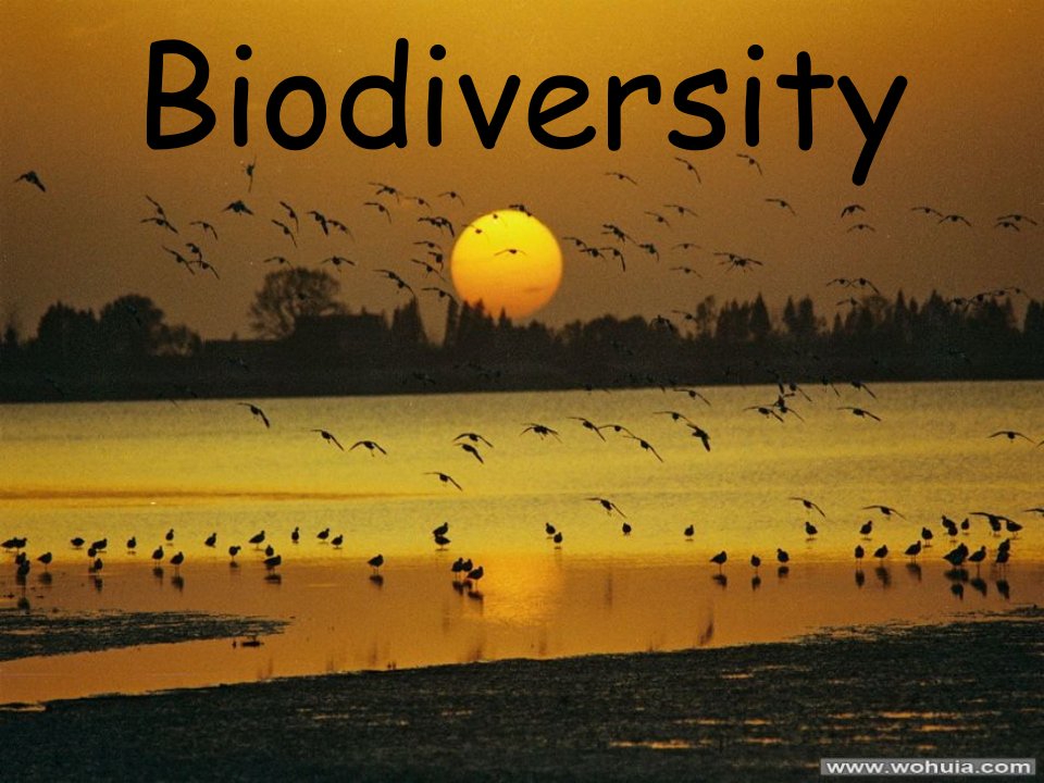 英语话题-生物多样性Biodiversity