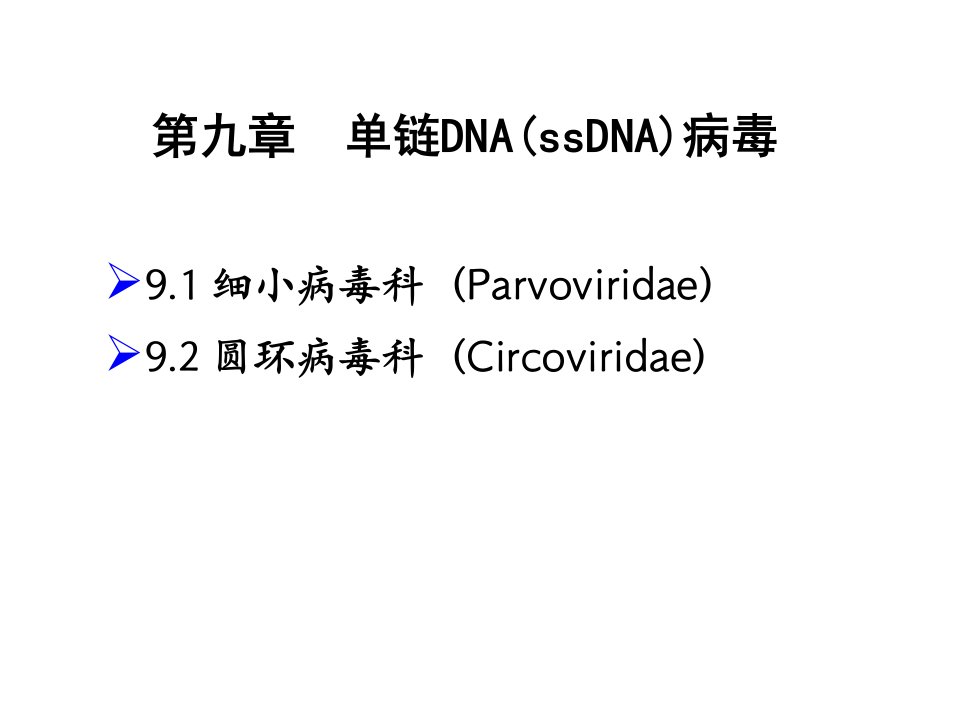 动物病毒学课件第9章单链DNA病毒