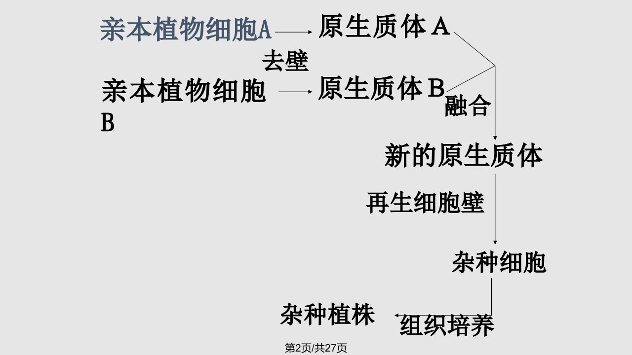 植物细胞工程的实际应用学案