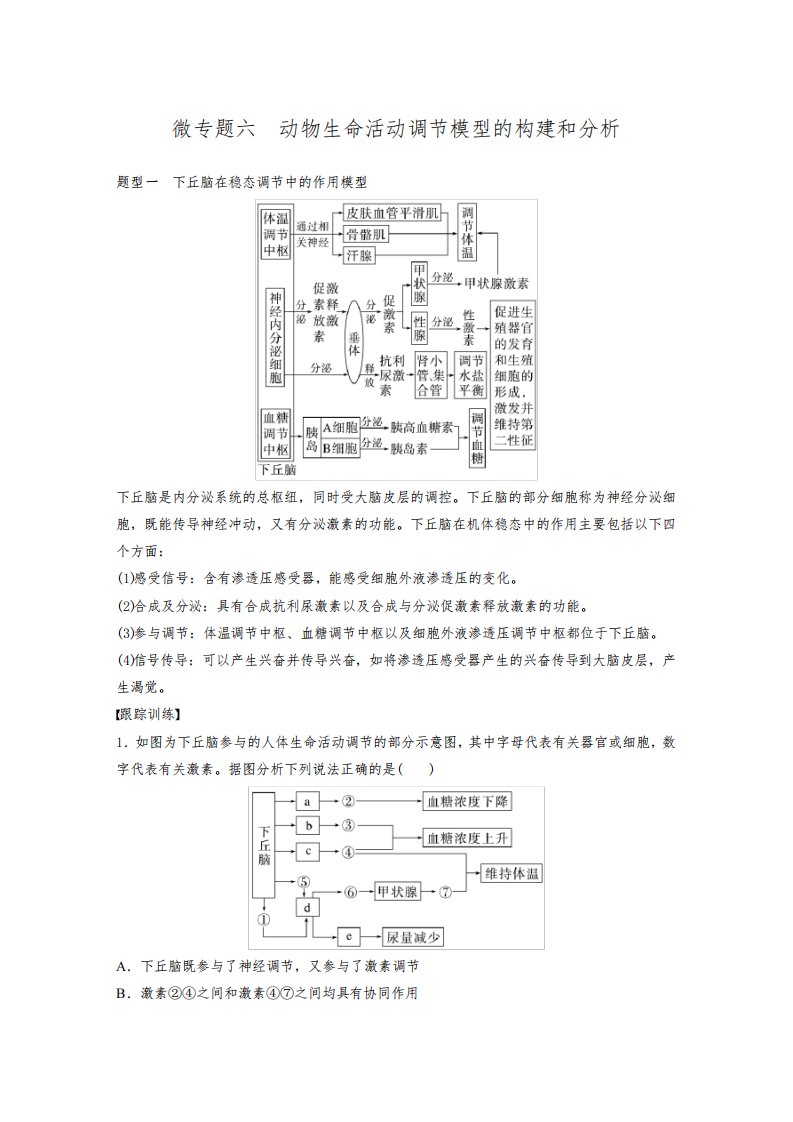 2024届高考一轮复习生物教案(新教材人教版鲁湘辽)：动物生命活动调节模型的构建和分析