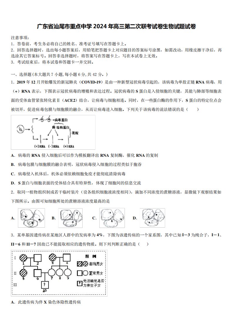 广东省汕尾市重点中学2024年高三第二次联考试卷生物试题试卷含解析7234