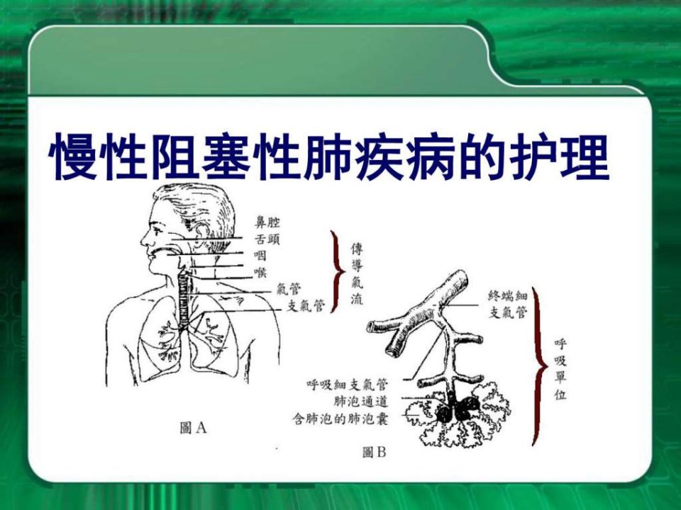 老年人呼吸系统常见疾病的护理_预防医学_医药卫生_专业资料ppt课件