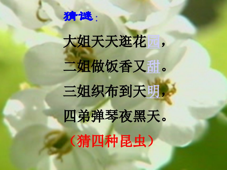 昆虫记.绿色蝈蝈ppt课件