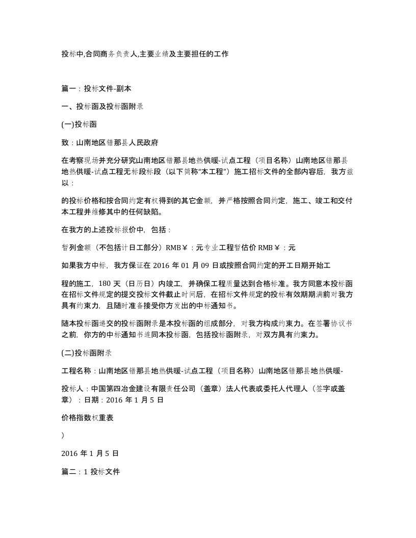 投标中合同商务负责人主要业绩及主要担任的工作