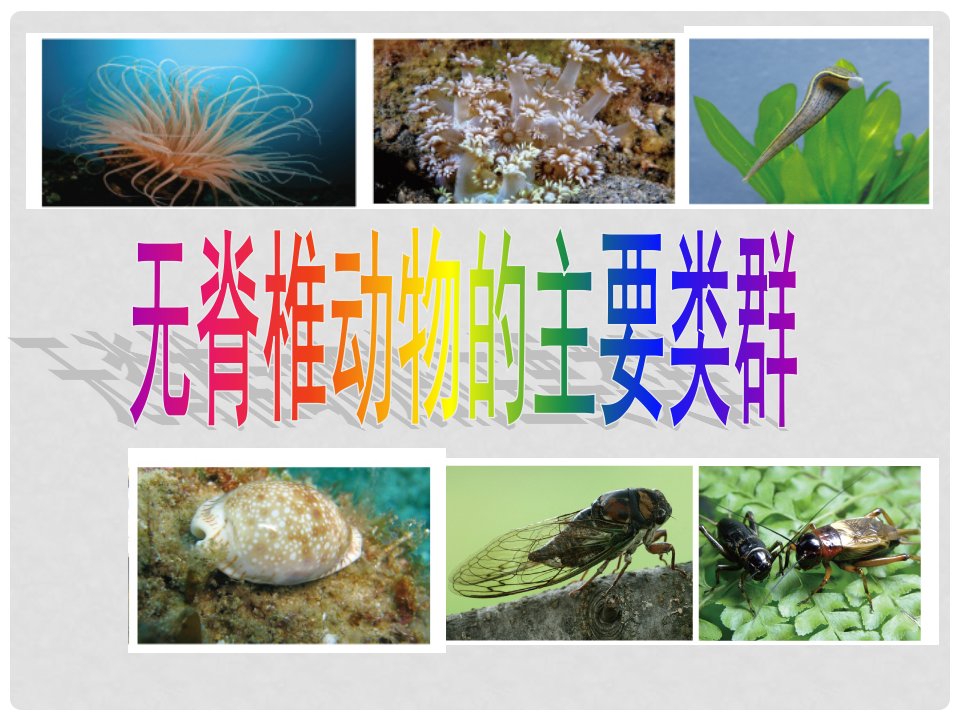 七年级生物上册