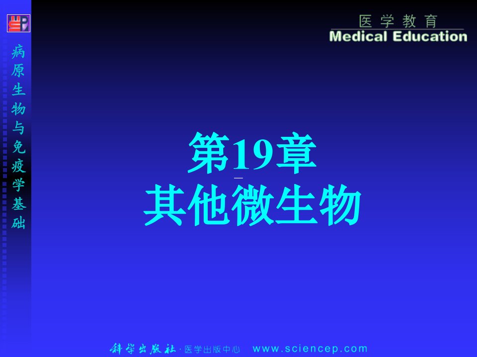 病原生物与免疫学-支原体、立克次体、衣原体、螺旋体课件