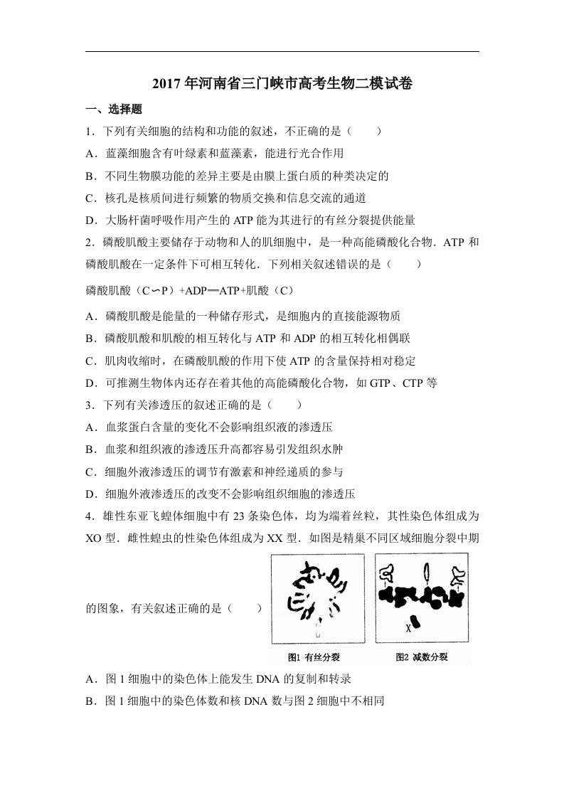 河南省三门峡市2017届高三下学期高考生物二模试卷