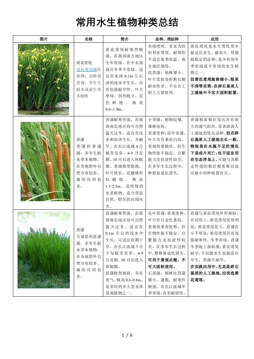 (完整版)常用水生植物种类汇总