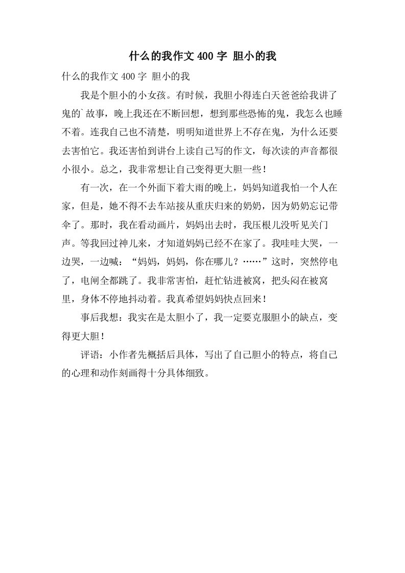 什么的我作文400字