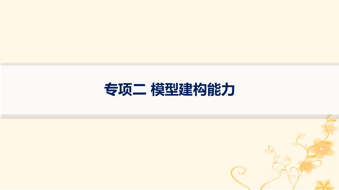 适用于新高考新教材2024版高考物理二轮复习第三编高考关键能力专项专项二模型建构能力课件