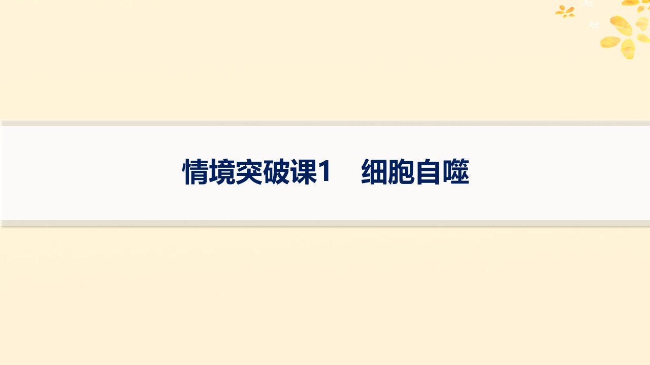 适用于新高考新教材备战2025届高考生物一轮总复习第2单元细胞的基本结构及物质运输情境突破课1细胞自噬课件