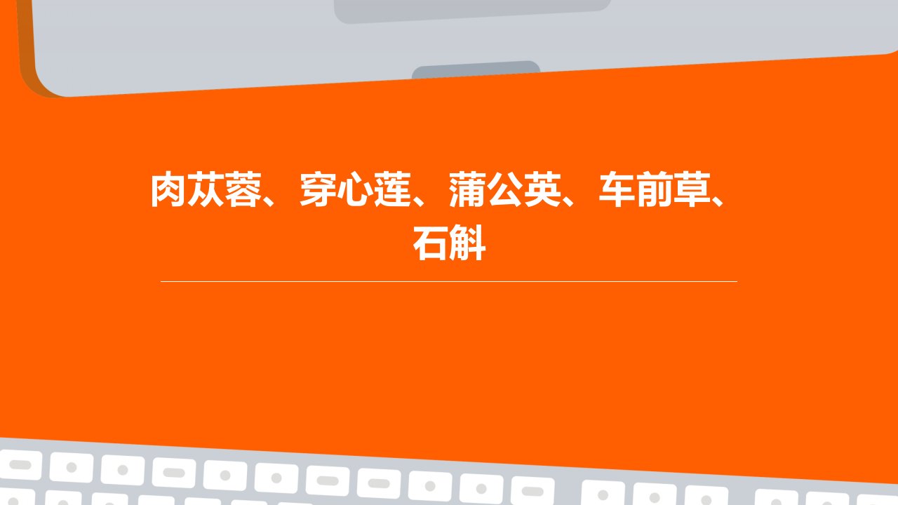 肉苁蓉、穿心莲、蒲公英、车前草、石斛