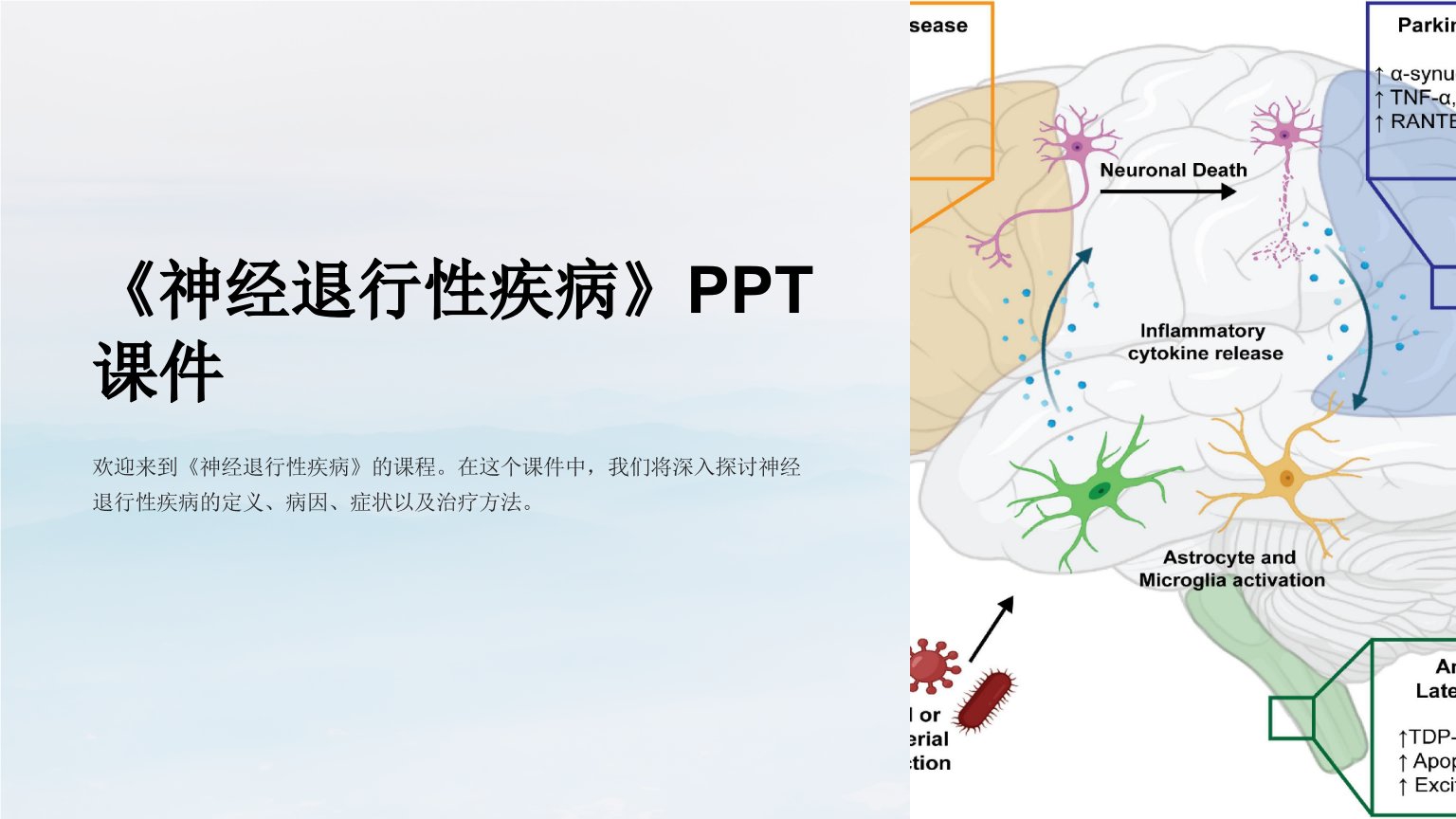 《神经退行性疾病》课件