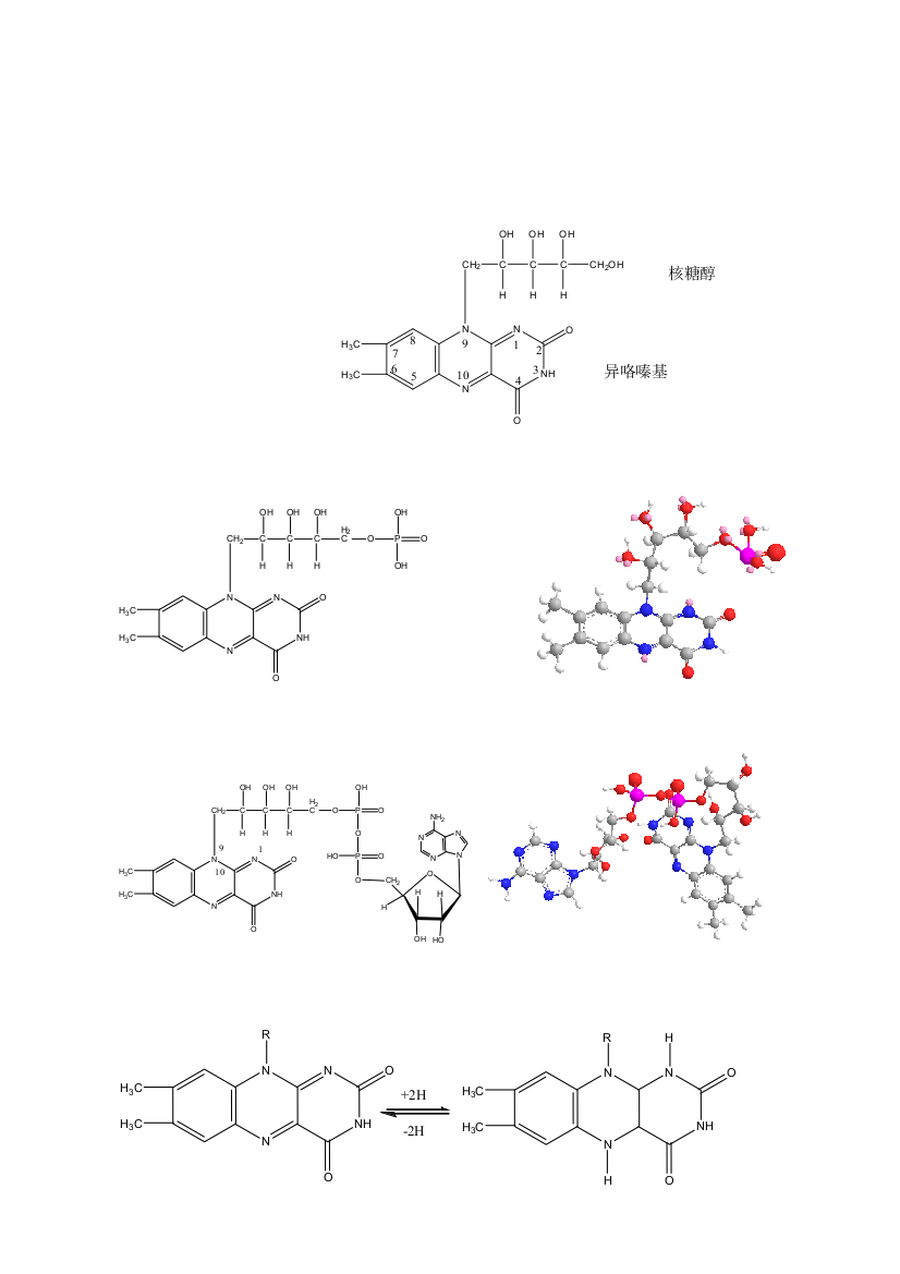 生物氧化过程