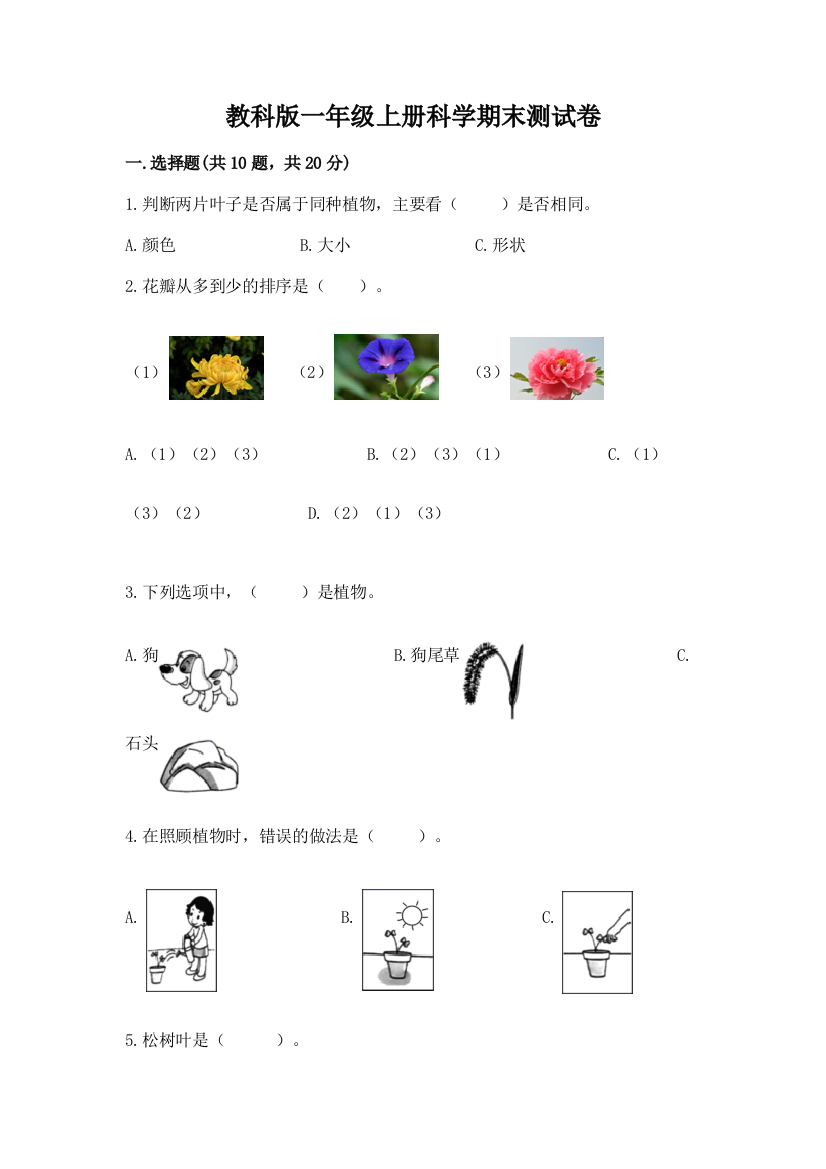 教科版一年级上册科学期末测试卷（实用）