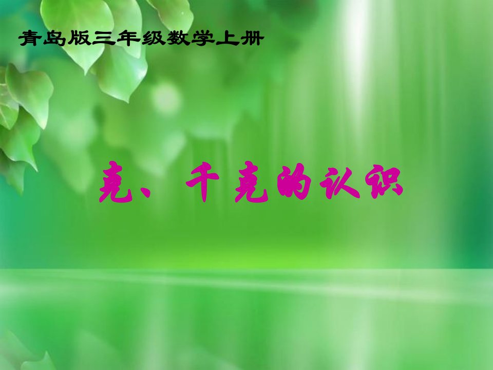 三年级数学上册课件-克、千克的认识