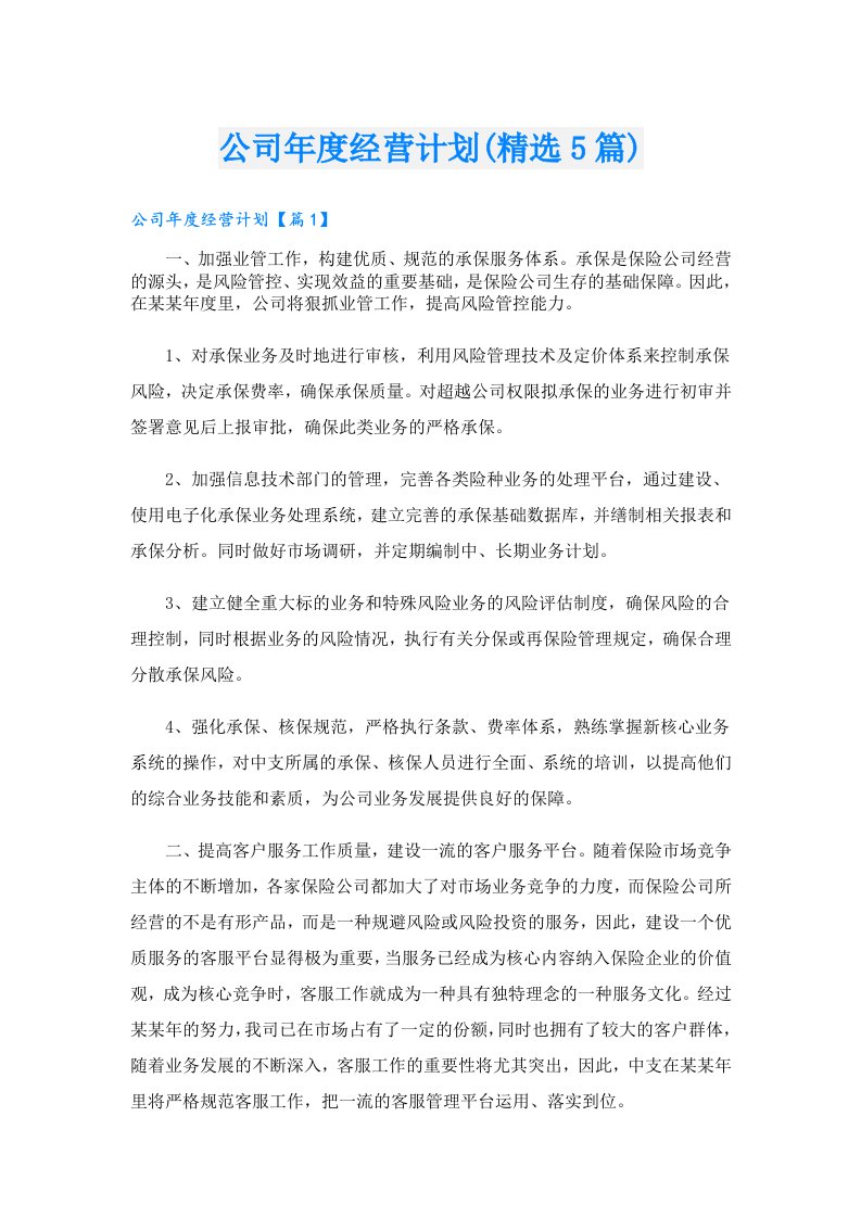 公司年度经营计划(精选5篇)