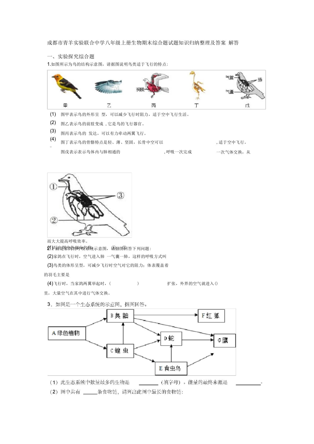 成都市青羊实验联合中学八年级上册生物期末综合题试题知识归纳整理及答案解答