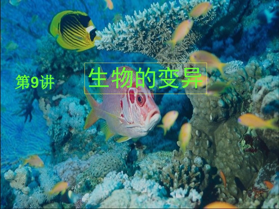 生物的变异总结课件