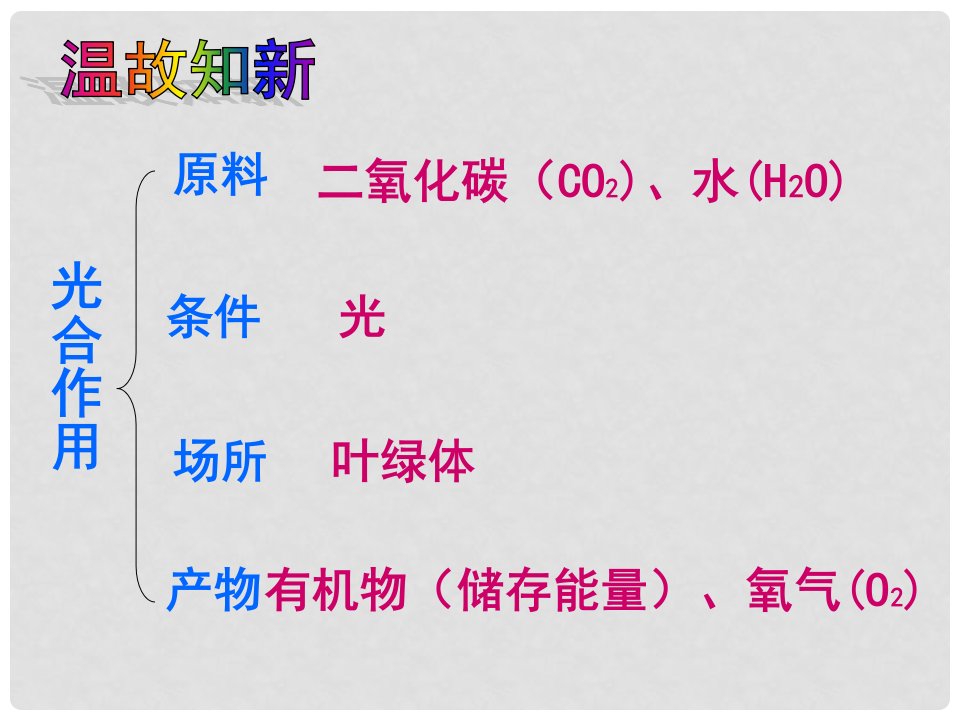 湖南省七年级生物上册