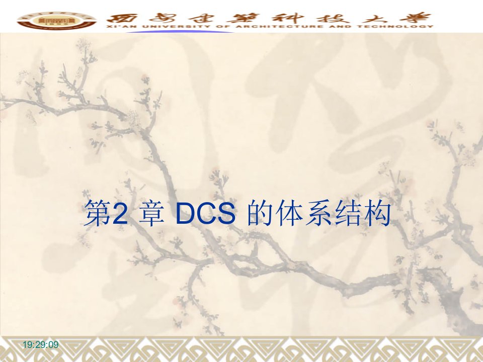 dcs课件