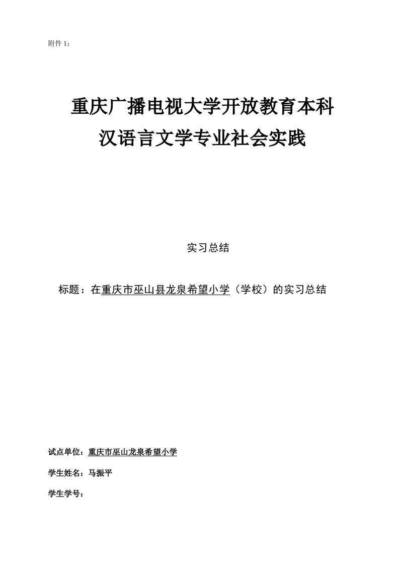 汉语言文学专业社会实践报告