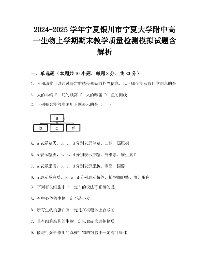 2024-2025学年宁夏银川市宁夏大学附中高一生物上学期期末教学质量检测模拟试题含解析