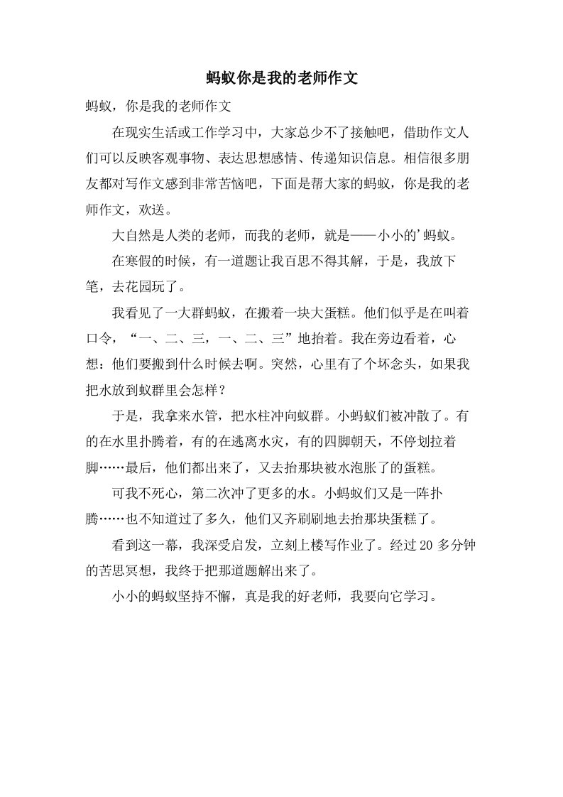 蚂蚁你是我的老师作文