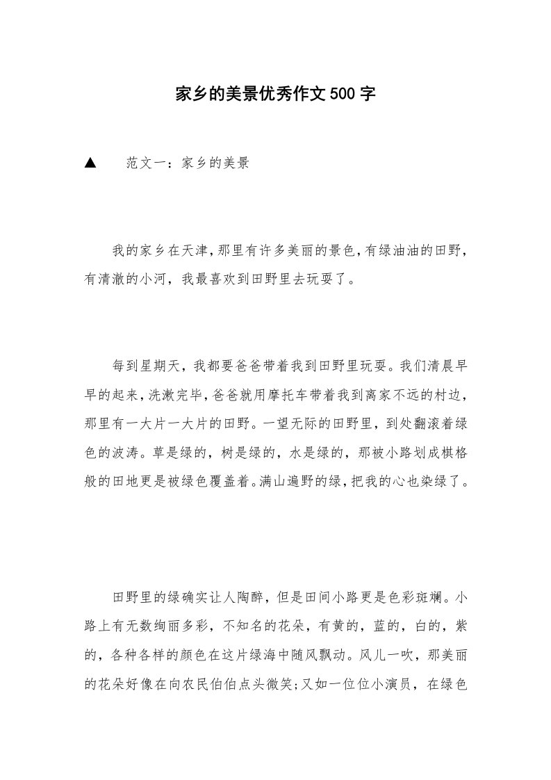 家乡的美景优秀作文500字