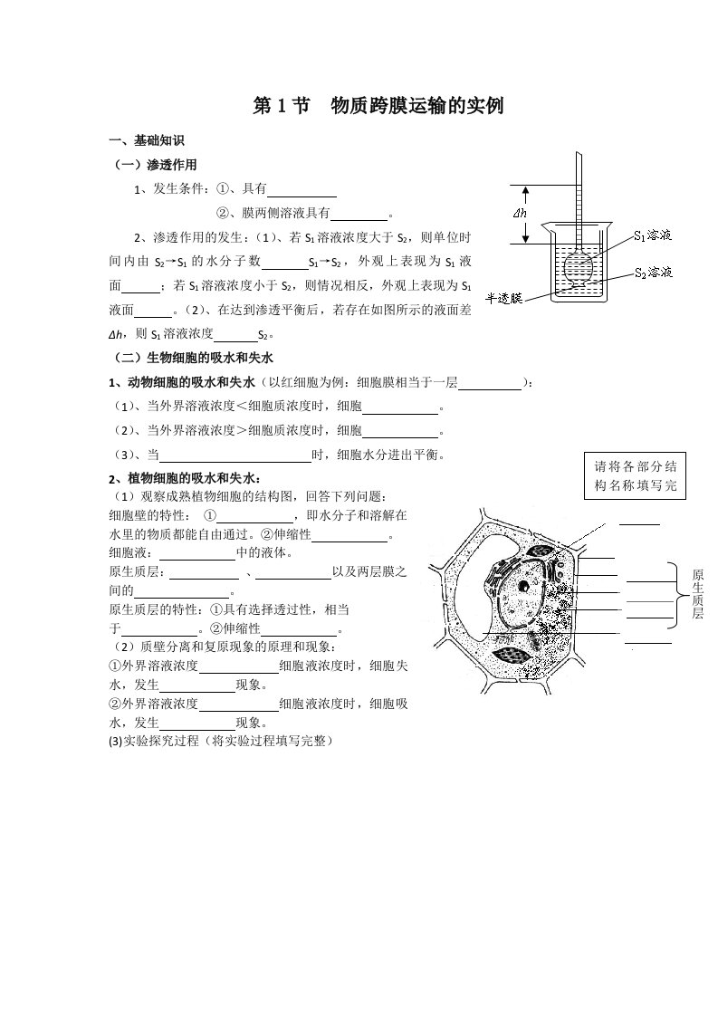 物质跨膜运输的实例(定)