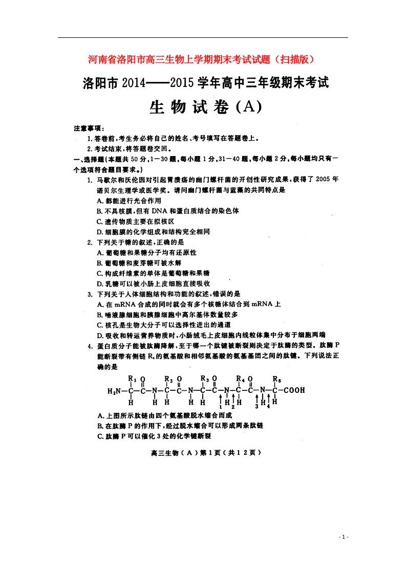 河南省洛阳市高三生物上学期期末考试试题（扫描版）