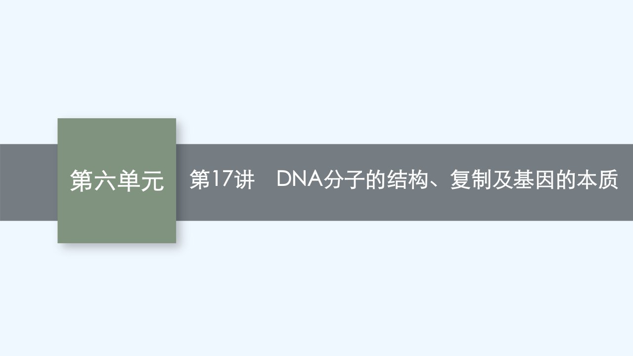 适用于老高考旧教材2024版高考生物一轮总复习第六单元遗传的分子基础第17讲DNA分子的结构复制及基因的本质课件新人教版