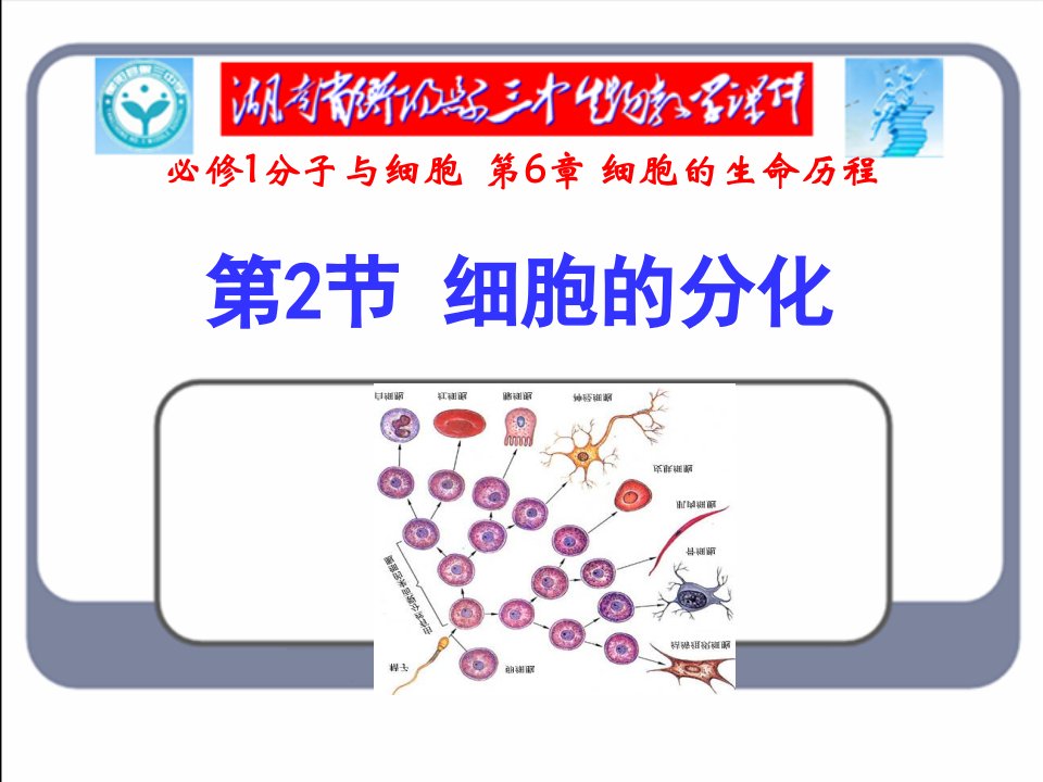 高三生物第一轮复习