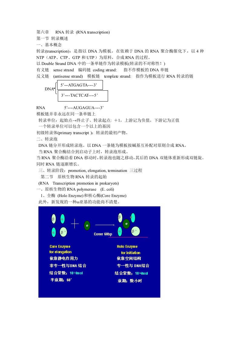 分子生物学课件