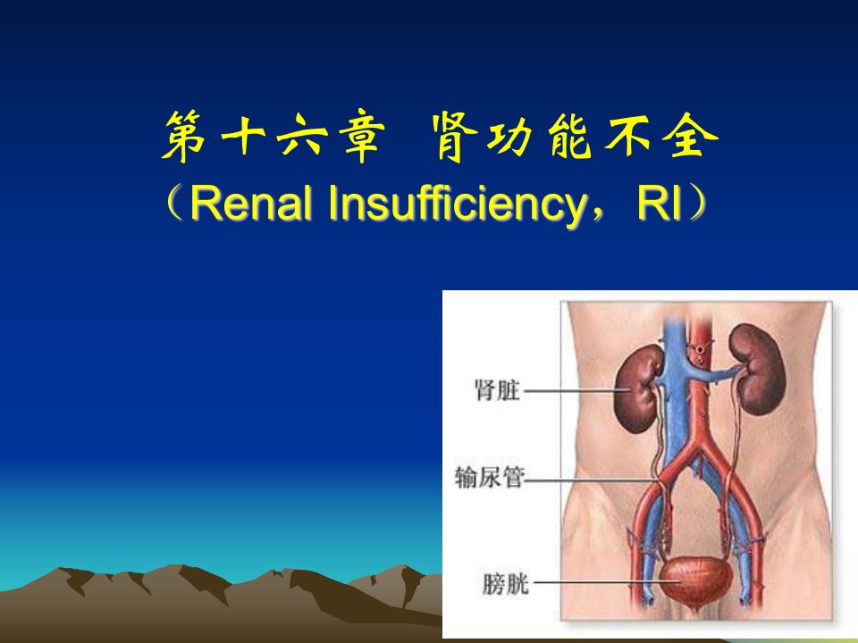 医学超级全之病生016-肾功能不全