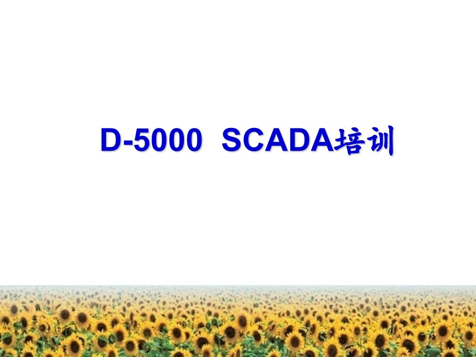 D5000