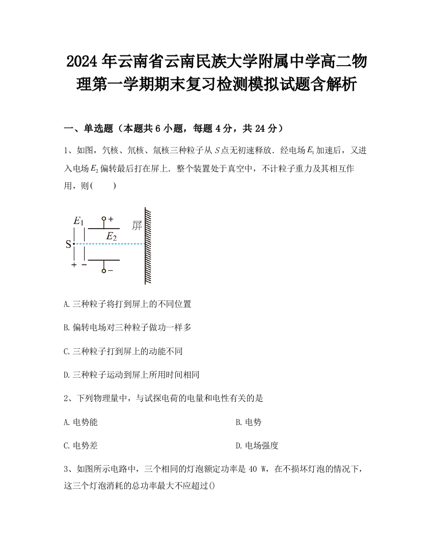 2024年云南省云南民族大学附属中学高二物理第一学期期末复习检测模拟试题含解析