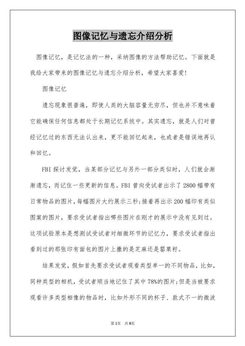 图像记忆与遗忘介绍分析