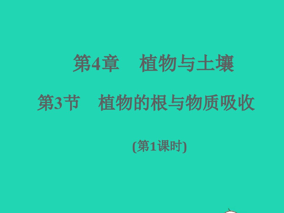 2022八年级科学下册第4章植物与土壤4.3植物的根与物质吸收第1课时A本作业课件新版浙教版