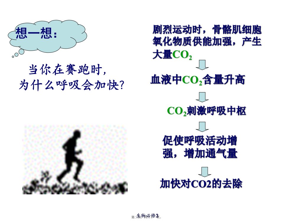 人体的激素调节