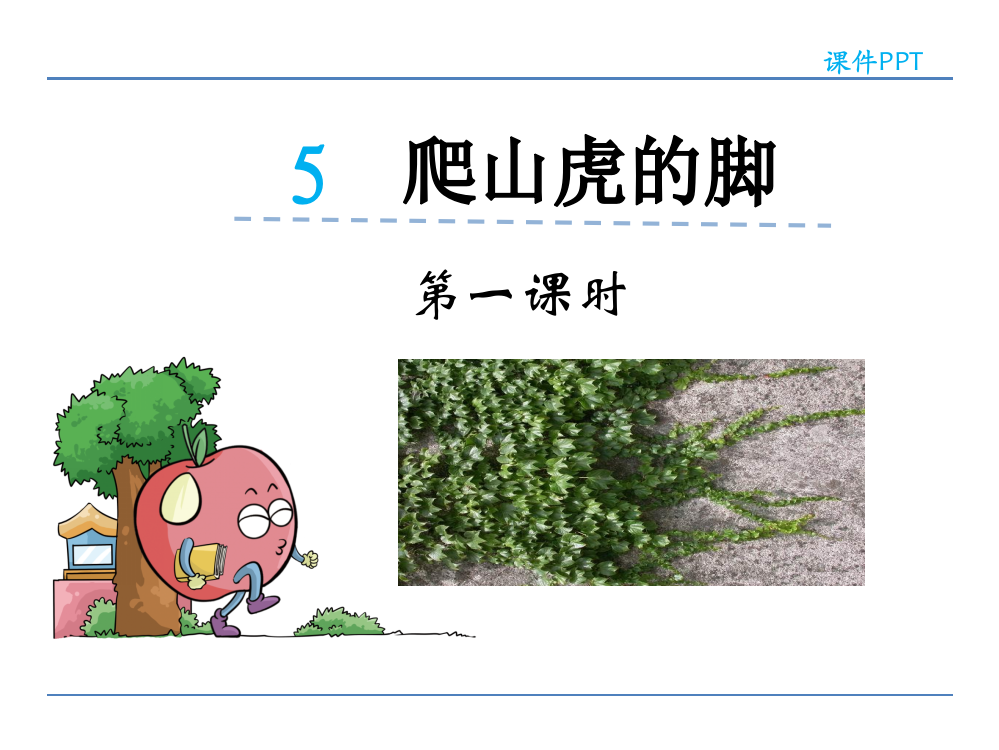 三年级下册语文课件-5爬山虎的脚鲁教版